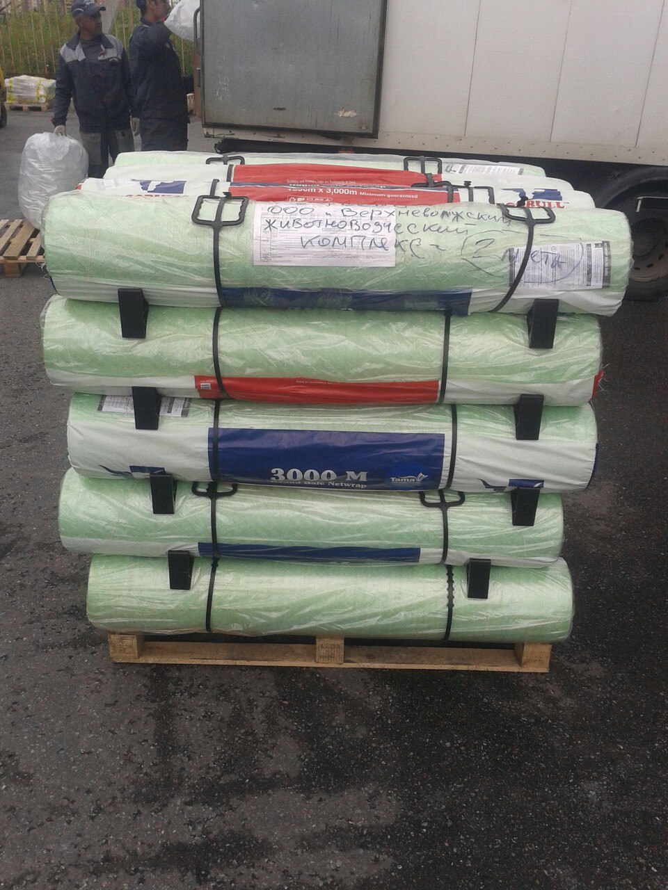 Предлагаем Сетку